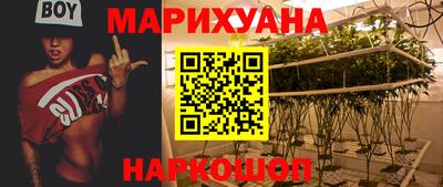 стаф Брянск