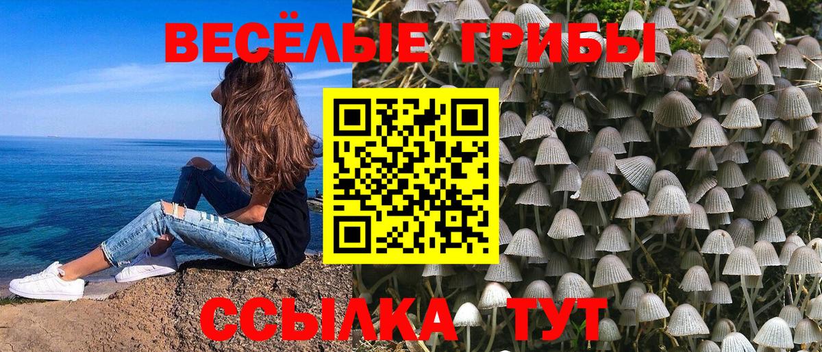 Галлюциногенные грибы GOLDEN TEACHER Барнаул